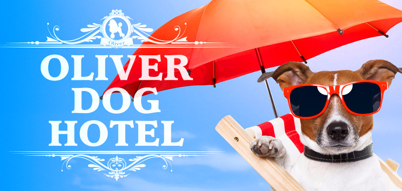 Dog Hotel